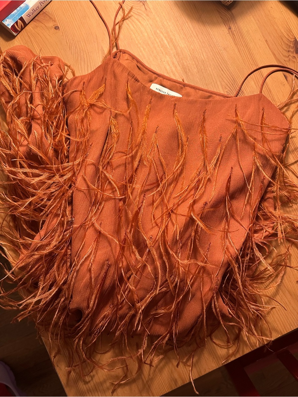 Rebecca Taylor Feather-Trim Slip Dress in Rust Orange - Picture 8 of 8